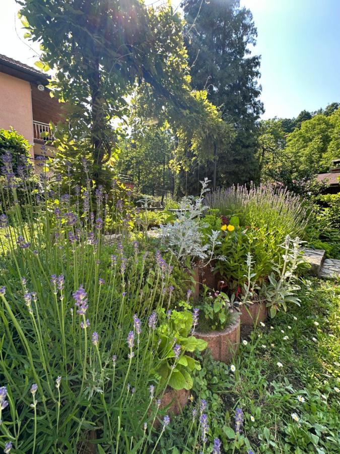 Beautiful House Overlooking Sarajevo Luaran gambar